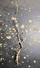 Load image into Gallery viewer, Decaryia madagascariensis
