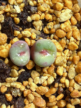 Load image into Gallery viewer, Conophytum pageae
