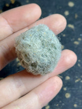 Load image into Gallery viewer, Mammillaria plumosa
