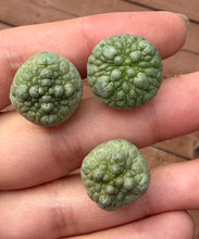 Load image into Gallery viewer, Pseudolithos migiurtinus（each）
