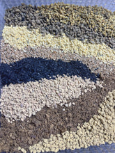 Load image into Gallery viewer, Lithops/ Conophytum soil
