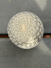 Load image into Gallery viewer, Euphorbia piscidermis
