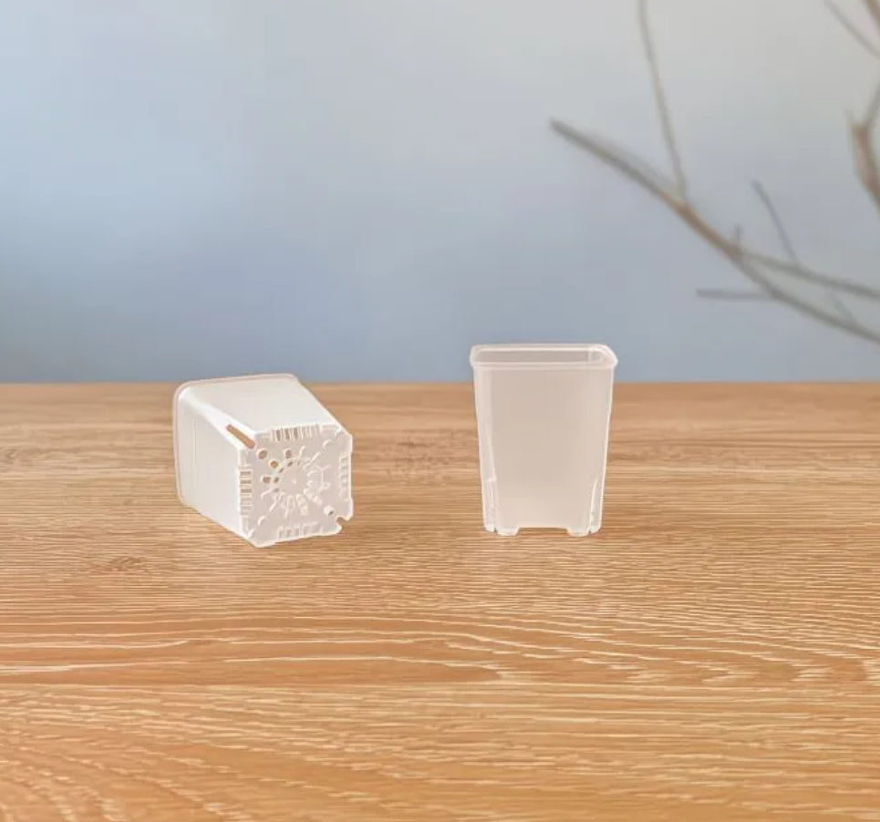 Plastic transparent pot (3)