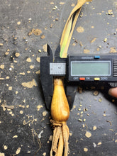 Load image into Gallery viewer, Boophone haemanthoides
