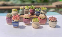 Load image into Gallery viewer, Tiny pots (6 pcs)
