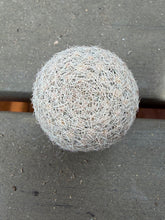 Load image into Gallery viewer, Mammillaria lasiacantha
