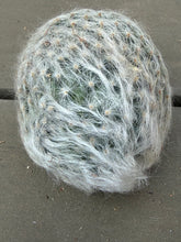 Load image into Gallery viewer, Mammillaria plumosa
