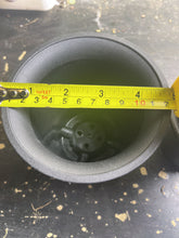 Load image into Gallery viewer, Plastic Pots
