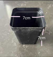 Load image into Gallery viewer, Plastic pots( 5pcs)
