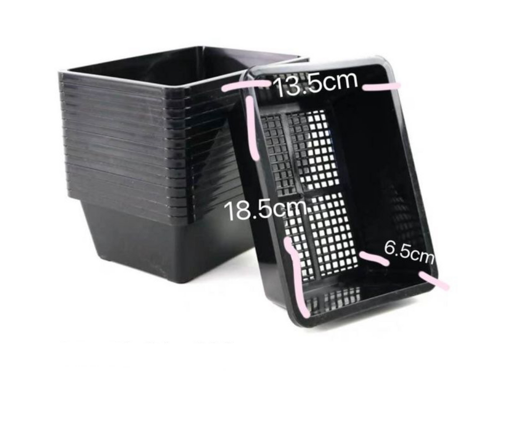 Plastic tray