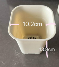 Load image into Gallery viewer, Plastic Pots
