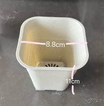Load image into Gallery viewer, Plastic Pots
